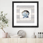 Muted Blue Sea Shell on Wood by Lanie Loreth on GIANT ART - coastal 