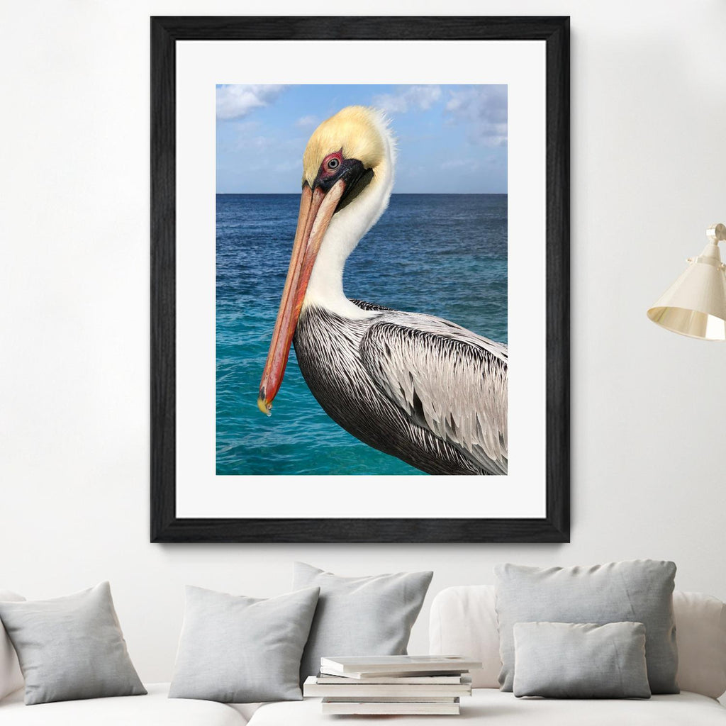 Pelican by Julie DeRice on GIANT ART - coastal photography