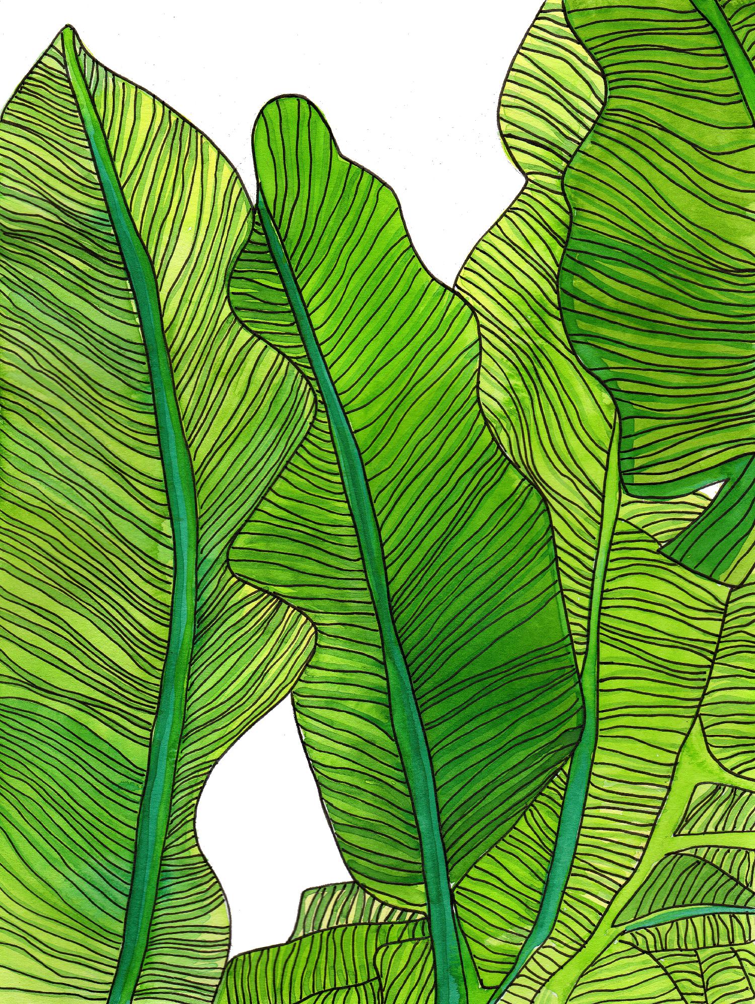 Jungle Leaves by Jen Bucheli on GIANT ART - floral leaves