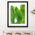 Jungle Leaves by Jen Bucheli on GIANT ART - floral leaves