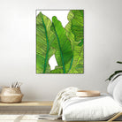 Jungle Leaves by Jen Bucheli on GIANT ART - floral leaves