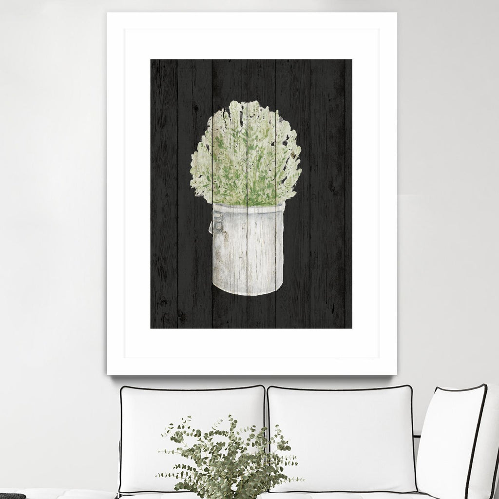 Herbes sur bois noir II par Janice Gaynor sur GIANT ART - ferme 