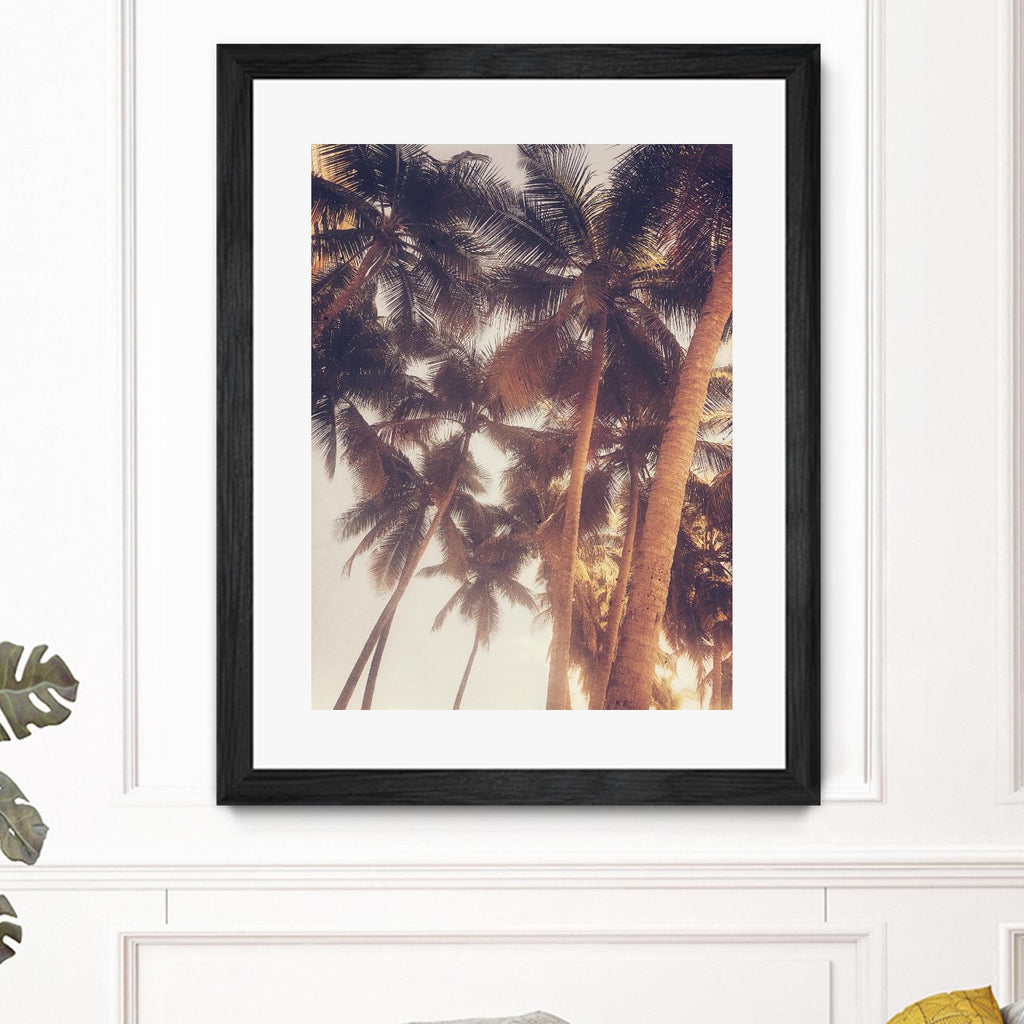 Vintage Palms par Acosta sur GIANT ART - photographie côtière