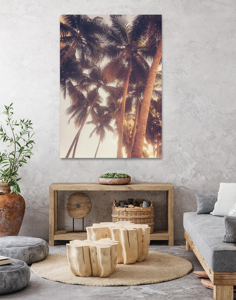 Vintage Palms by Acosta on GIANT ART - photography coastal