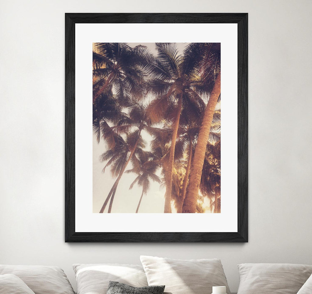 Vintage Palms by Acosta on GIANT ART - photography coastal