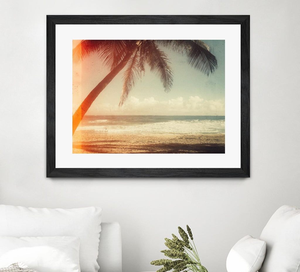 Single Palm by Acosta on GIANT ART - multi photography