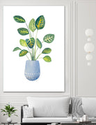 Croton In Blue Pot by Lanie Loreth on GIANT ART - floral southwestern and western