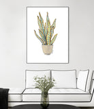 Mother In Law Plant in Pot by Lanie Loreth on GIANT ART - floral southwestern and western