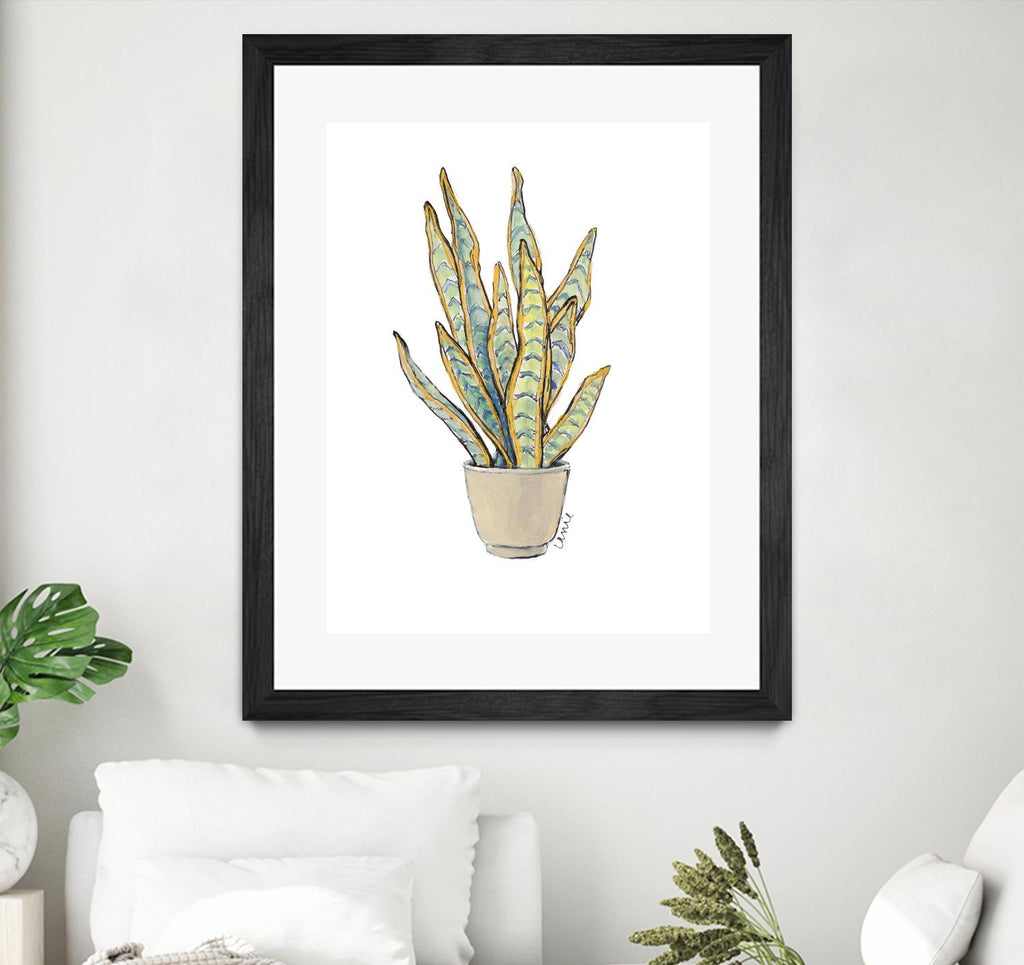 Mother In Law Plant in Pot by Lanie Loreth on GIANT ART - floral southwestern and western