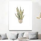 Mother In Law Plant in Pot by Lanie Loreth on GIANT ART - floral southwestern and western