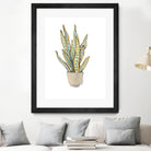 Mother In Law Plant in Pot by Lanie Loreth on GIANT ART - floral southwestern and western
