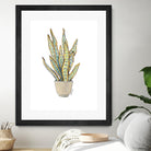 Mother In Law Plant in Pot by Lanie Loreth on GIANT ART - floral southwestern and western