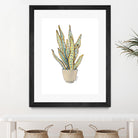 Mother In Law Plant in Pot by Lanie Loreth on GIANT ART - floral southwestern and western