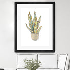 Mother In Law Plant in Pot by Lanie Loreth on GIANT ART - floral southwestern and western