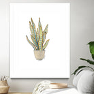 Mother In Law Plant in Pot by Lanie Loreth on GIANT ART - floral southwestern and western