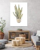 Mother In Law Plant in Pot by Lanie Loreth on GIANT ART - floral southwestern and western