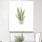 Mother In Law Plant in Pot by Lanie Loreth on GIANT ART - floral southwestern and western