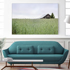 Summer Feel by Nancy Crowell on GIANT ART - grey photo art