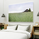 Summer Feel by Nancy Crowell on GIANT ART - grey photo art