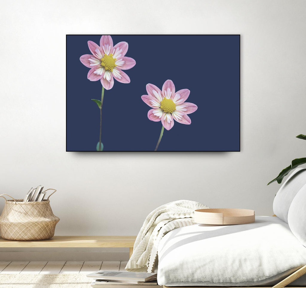 Ready for the Day by Nancy Crowell on GIANT ART - florals