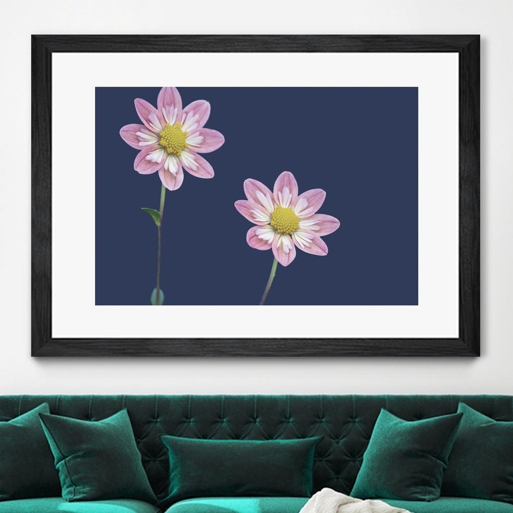 Ready for the Day by Nancy Crowell on GIANT ART - florals