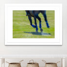 Photograph 2 by Nancy Crowell on GIANT ART - green animals horse