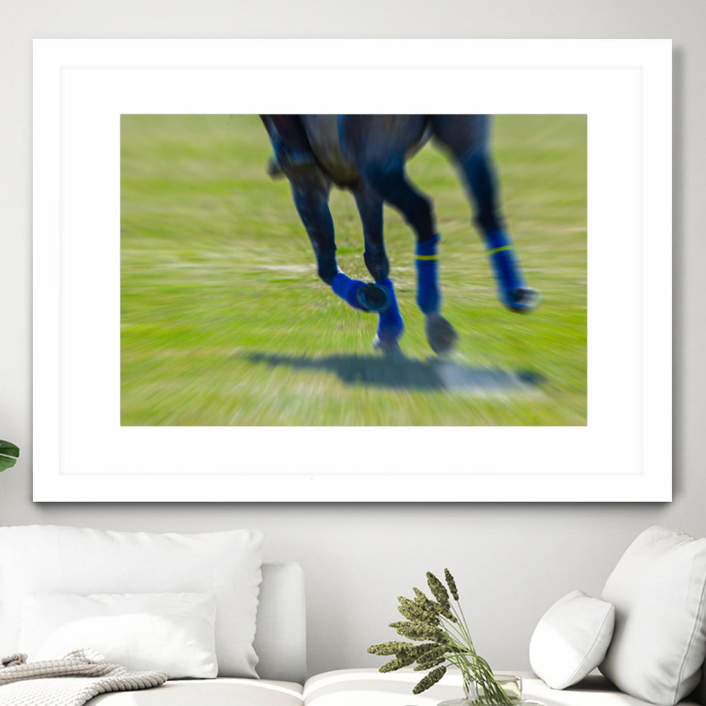 Photograph 2 by Nancy Crowell on GIANT ART - green animals horse