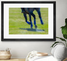 Photograph 2 by Nancy Crowell on GIANT ART - green animals horse