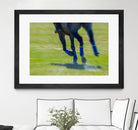 Photograph 2 by Nancy Crowell on GIANT ART - green animals horse