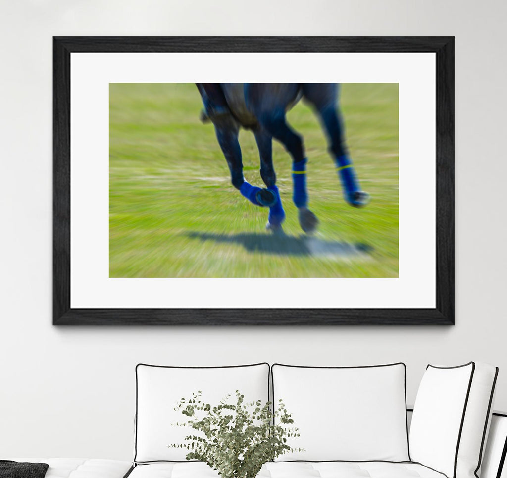 Photograph 2 by Nancy Crowell on GIANT ART - green animals horse