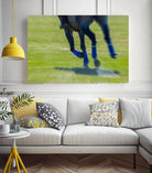 Photograph 2 by Nancy Crowell on GIANT ART - green animals horse