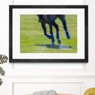 Photograph 2 by Nancy Crowell on GIANT ART - green animals horse