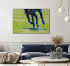 Photograph 2 by Nancy Crowell on GIANT ART - brown animals