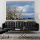 Almost Spring by Nancy Crowell on GIANT ART - beige landscape