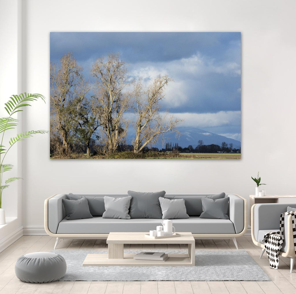Almost Spring by Nancy Crowell on GIANT ART - beige landscape