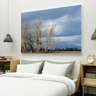 Almost Spring by Nancy Crowell on GIANT ART - beige landscape