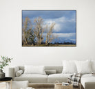 Almost Spring by Nancy Crowell on GIANT ART - beige landscape