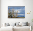 Almost Spring by Nancy Crowell on GIANT ART - beige landscape