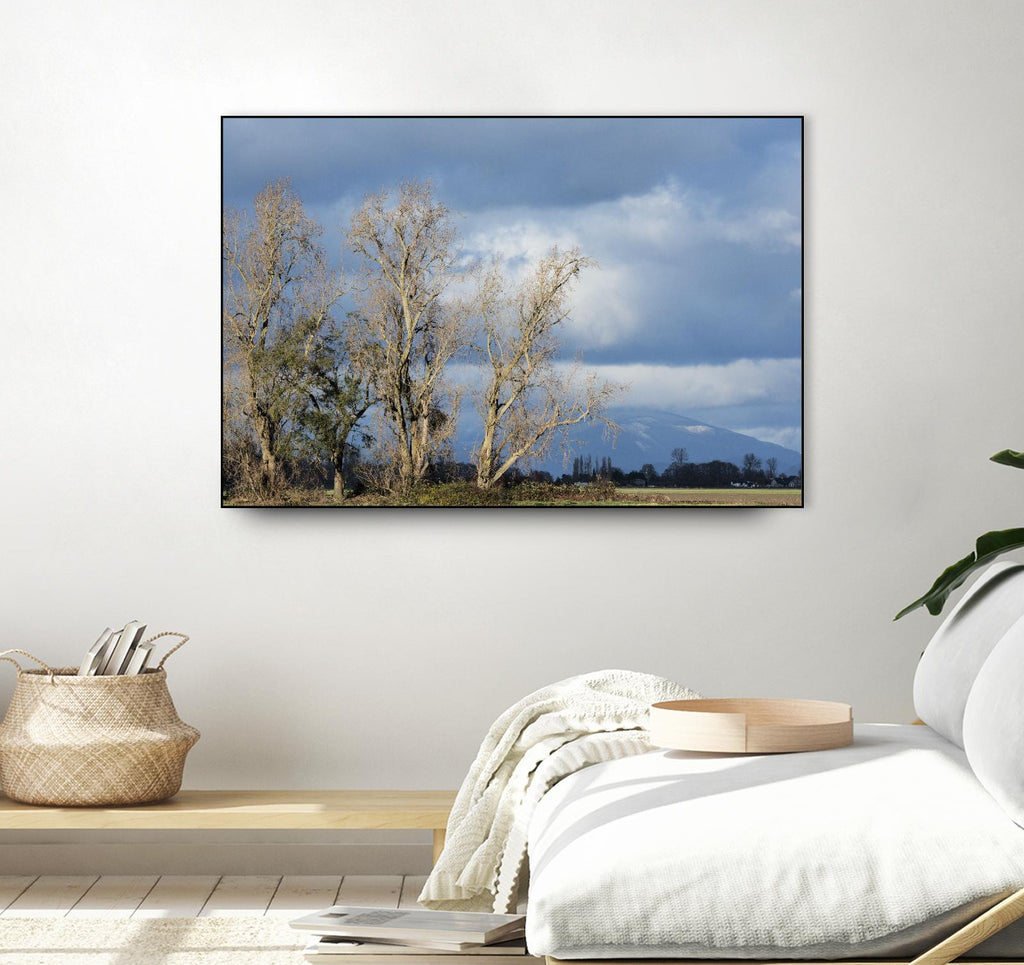 Almost Spring by Nancy Crowell on GIANT ART - beige landscape