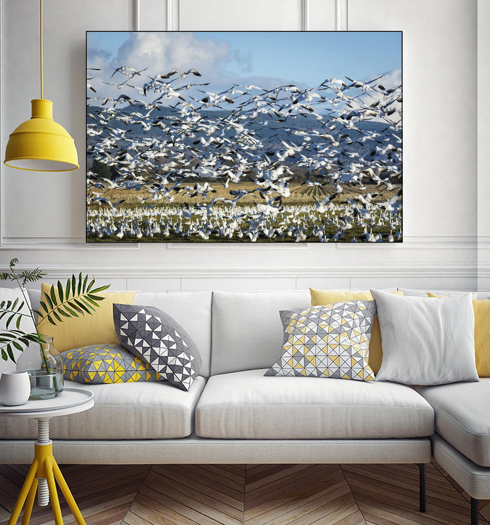 Takeoff by Nancy Crowell on GIANT ART - beige landscape