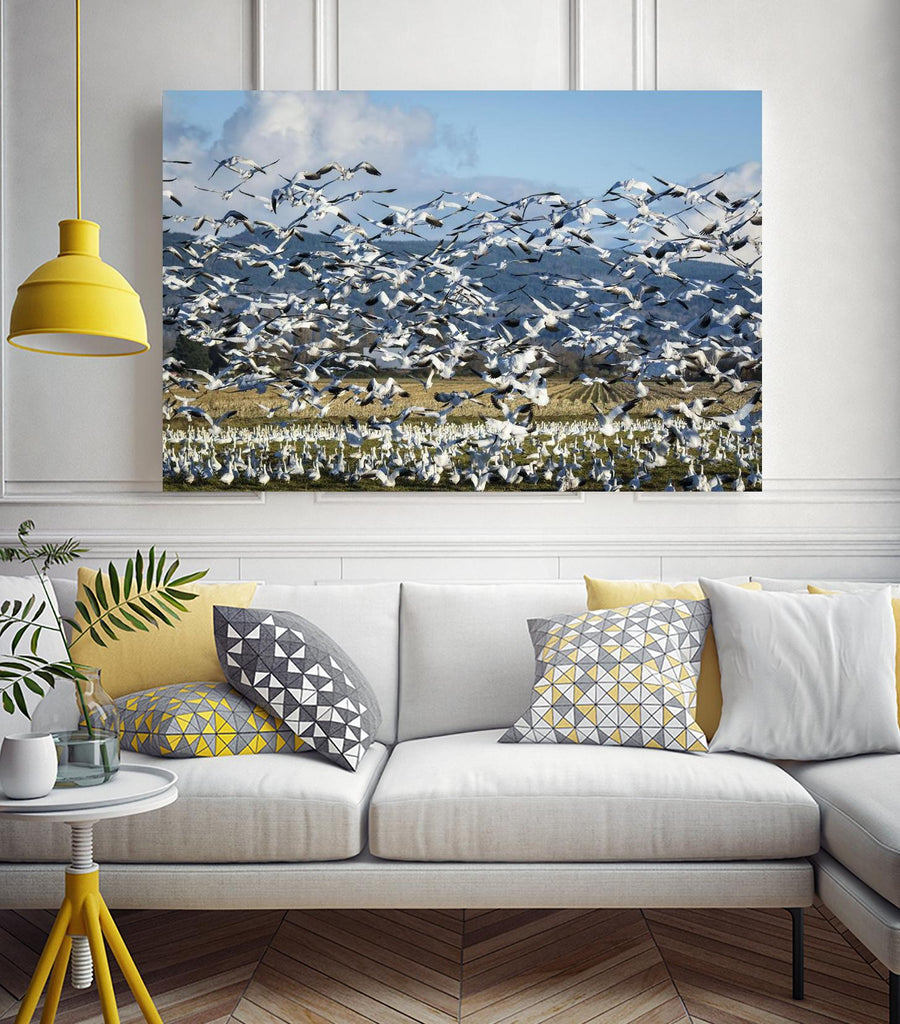 Takeoff by Nancy Crowell on GIANT ART - beige landscape