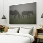 Photograph 3 by Nancy Crowell on GIANT ART - grey animals