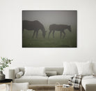 Photograph 3 by Nancy Crowell on GIANT ART - grey animals