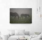 Photograph 3 by Nancy Crowell on GIANT ART - grey animals