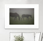 Photograph 3 by Nancy Crowell on GIANT ART - grey animals