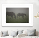 Photograph 3 by Nancy Crowell on GIANT ART - grey animals