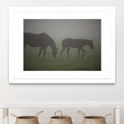 Photograph 3 by Nancy Crowell on GIANT ART - grey animals