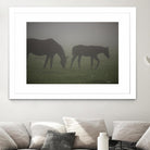 Photograph 3 by Nancy Crowell on GIANT ART - grey animals