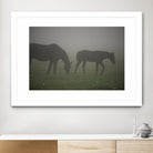 Photograph 3 by Nancy Crowell on GIANT ART - grey animals