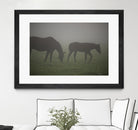 Photograph 3 by Nancy Crowell on GIANT ART - grey animals